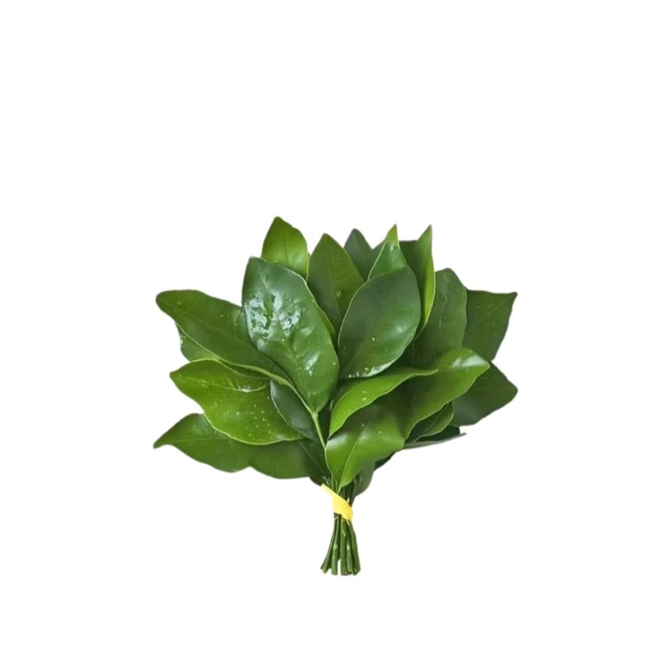 琳.