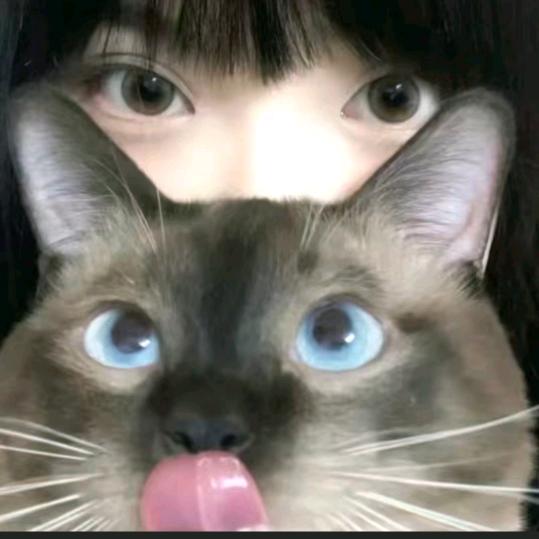 小猫不吃面包^