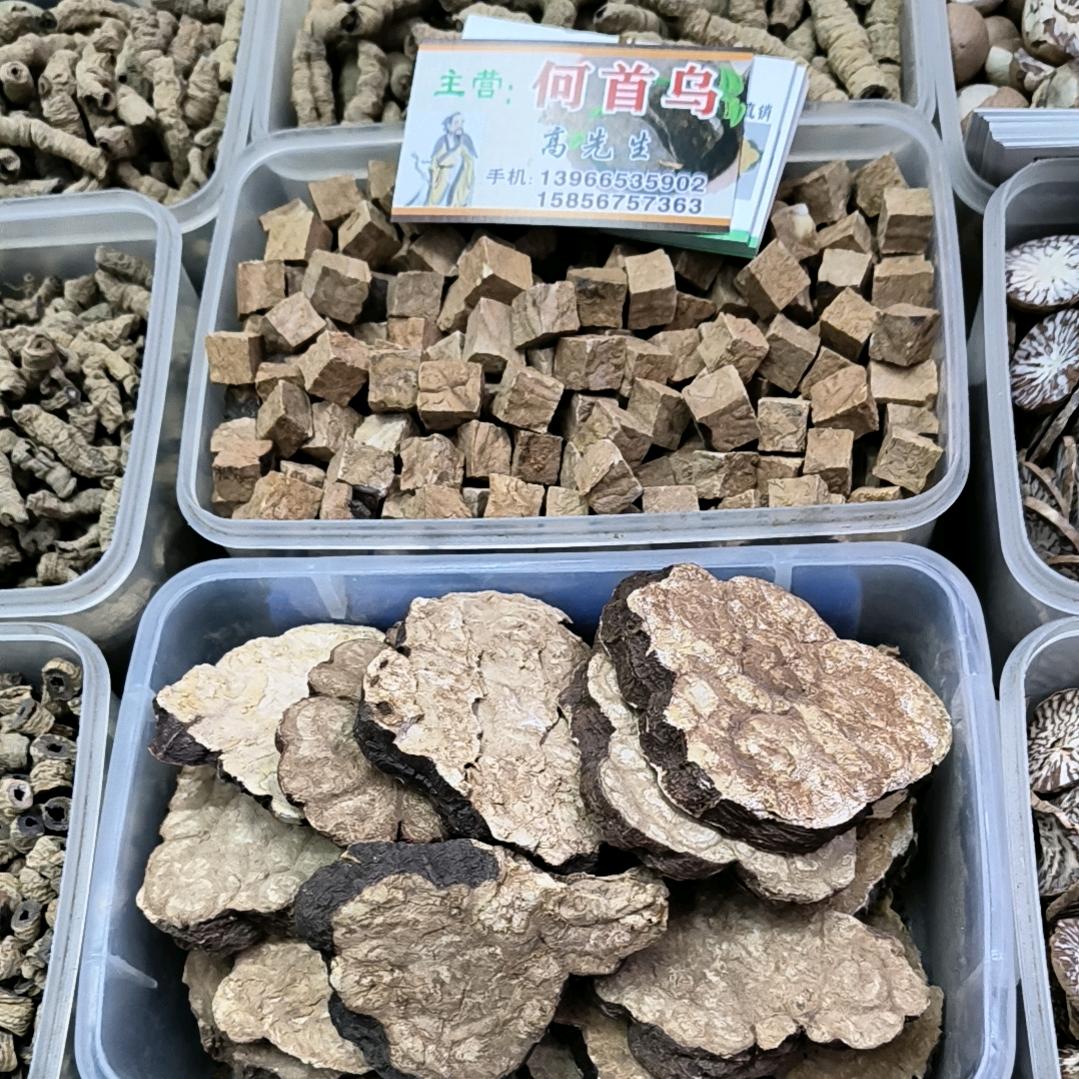 常年经营何首乌