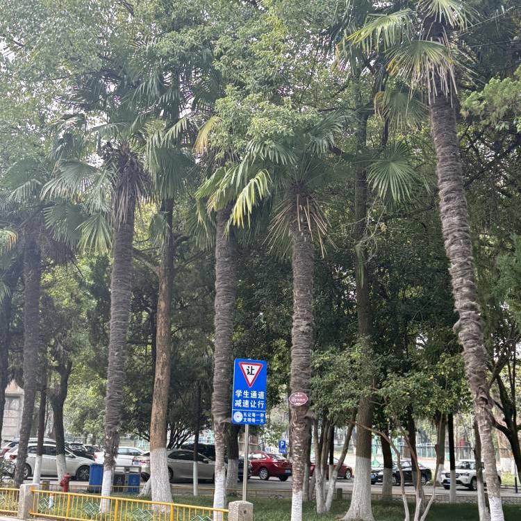 马鞍山一对一