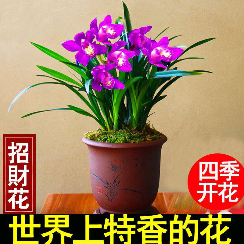 我是优优