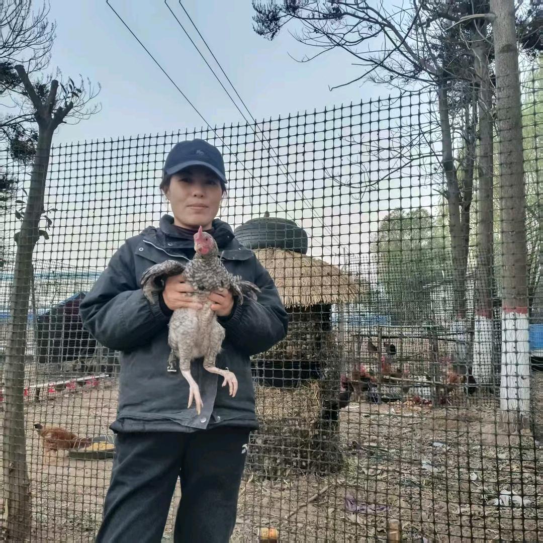 生态农场
