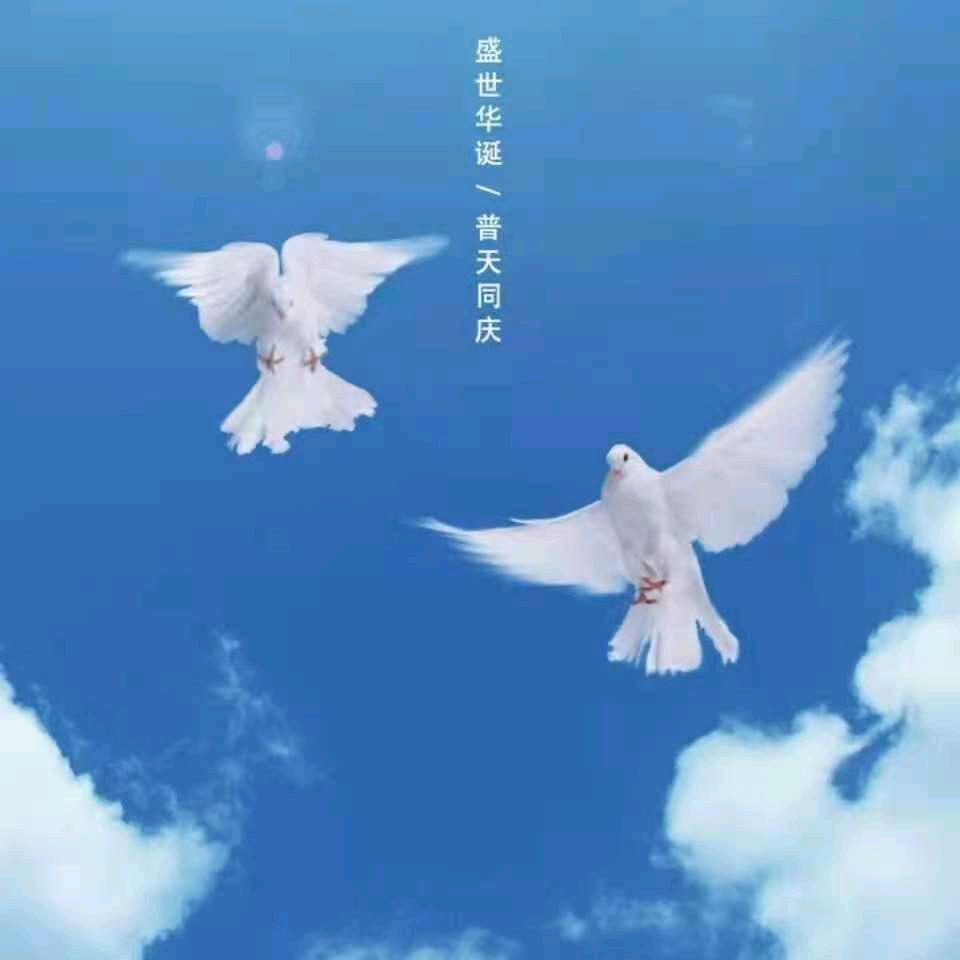 萤燕