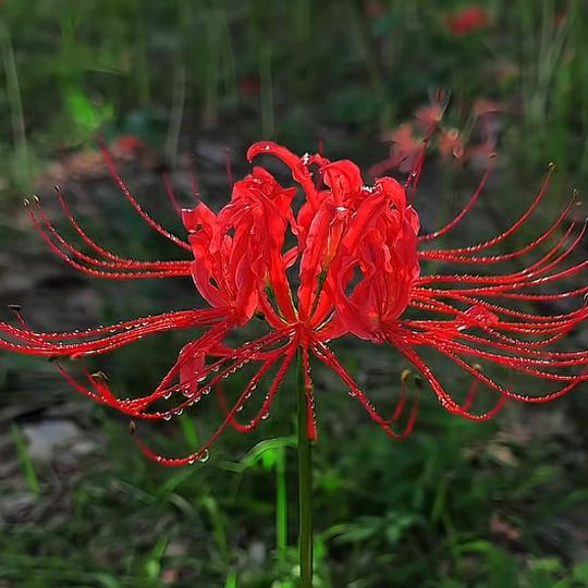 青春亦不在(    杰    )