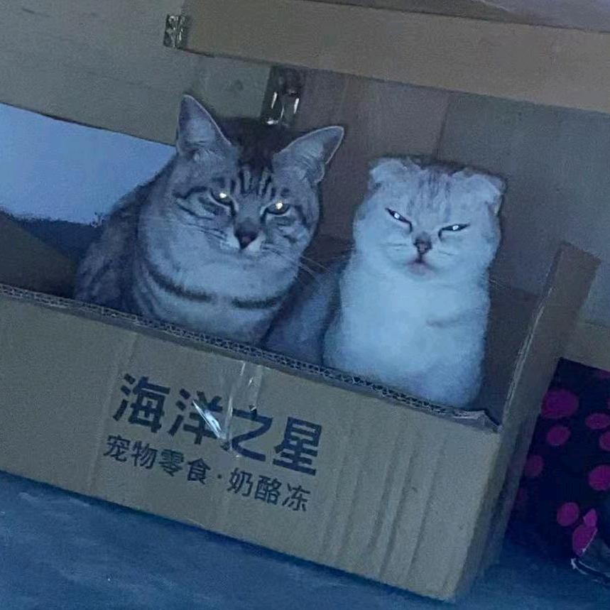 王芳时尚小铺xfi