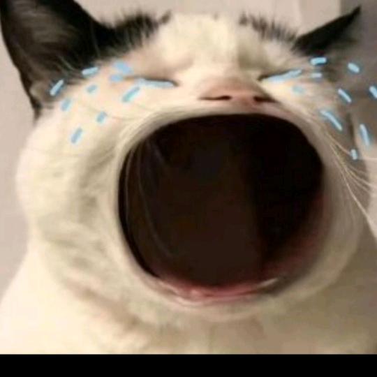 🌈歪瑞biu特否🌈