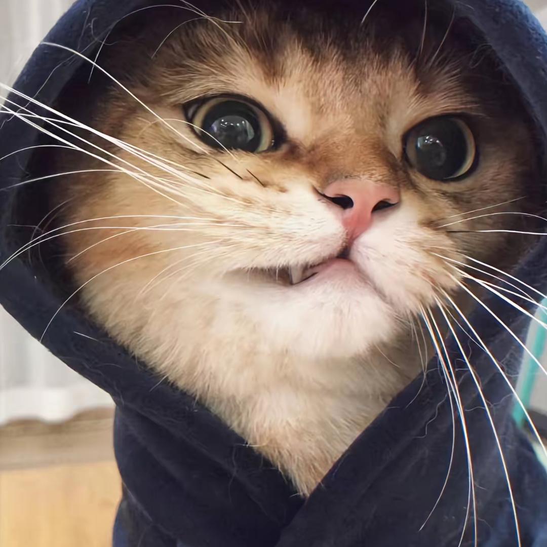 ⁷