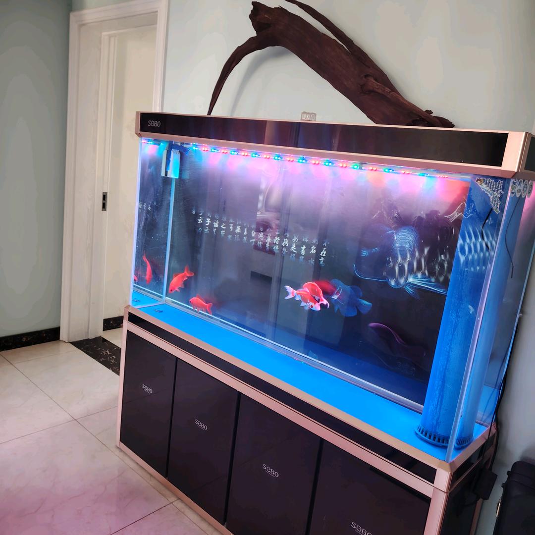 西华苑地下室菜市场