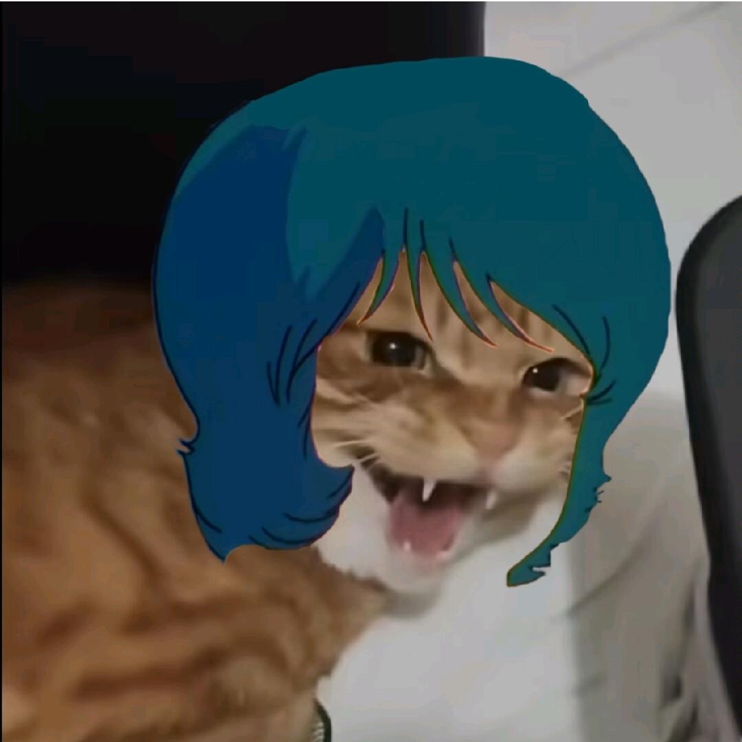 卡缪