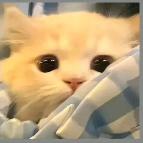 （蛋仔派对）沐子☁️？#