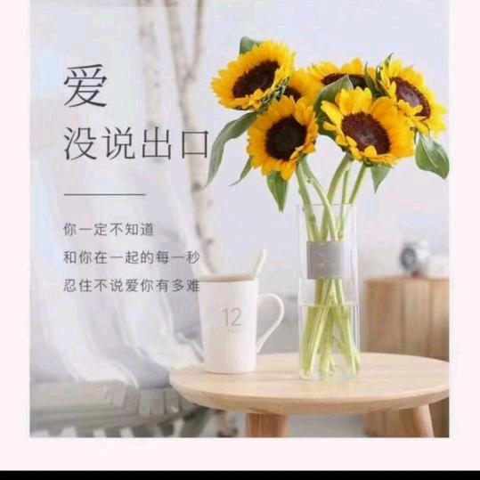 远方有梦