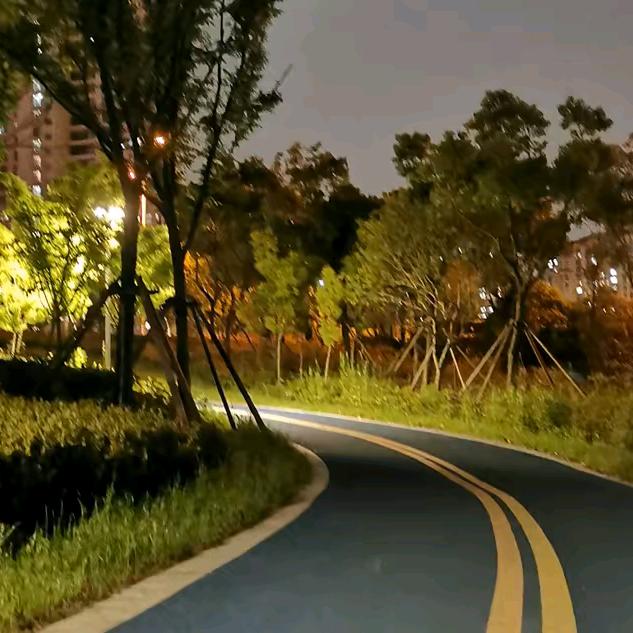 王玉花