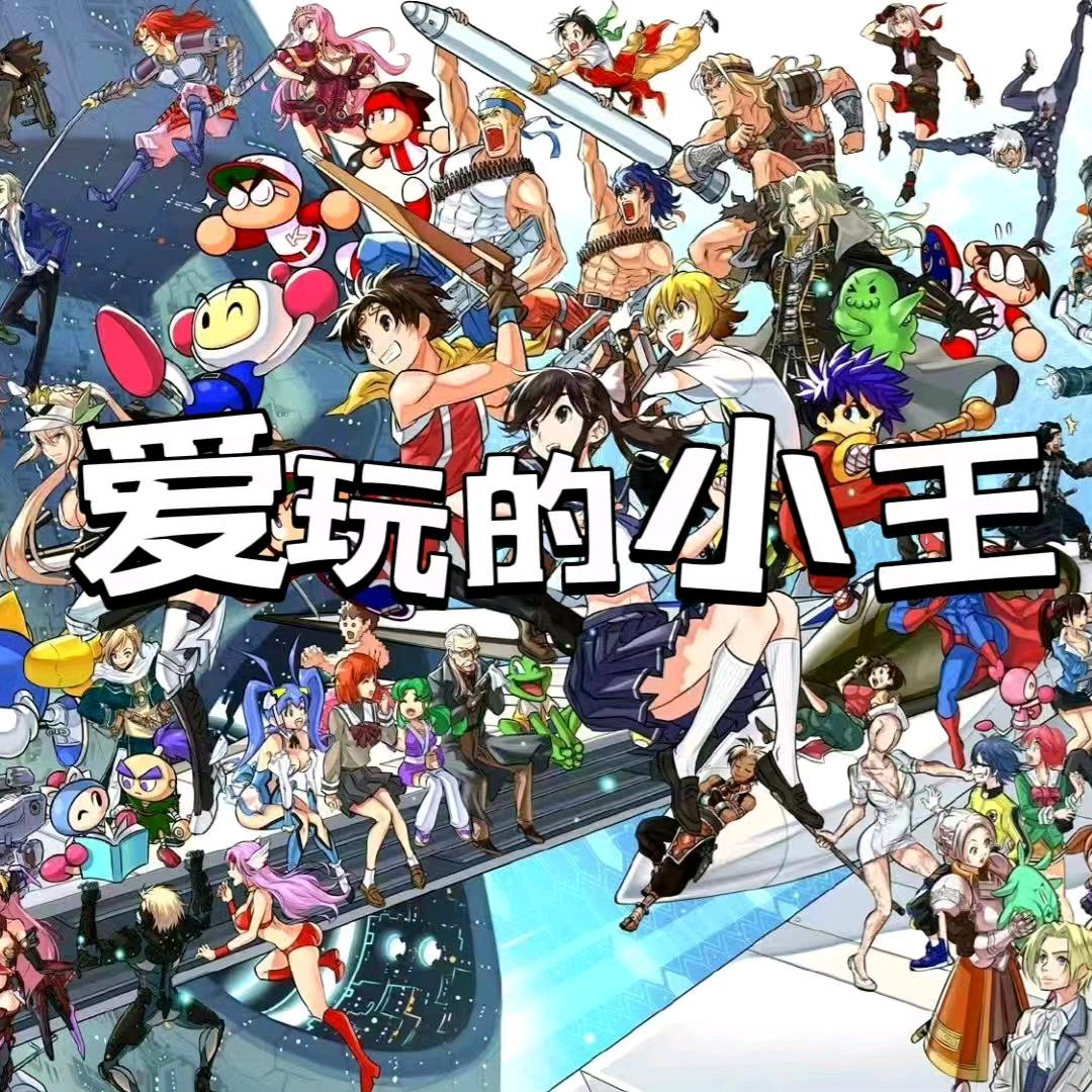 爱玩的小王
