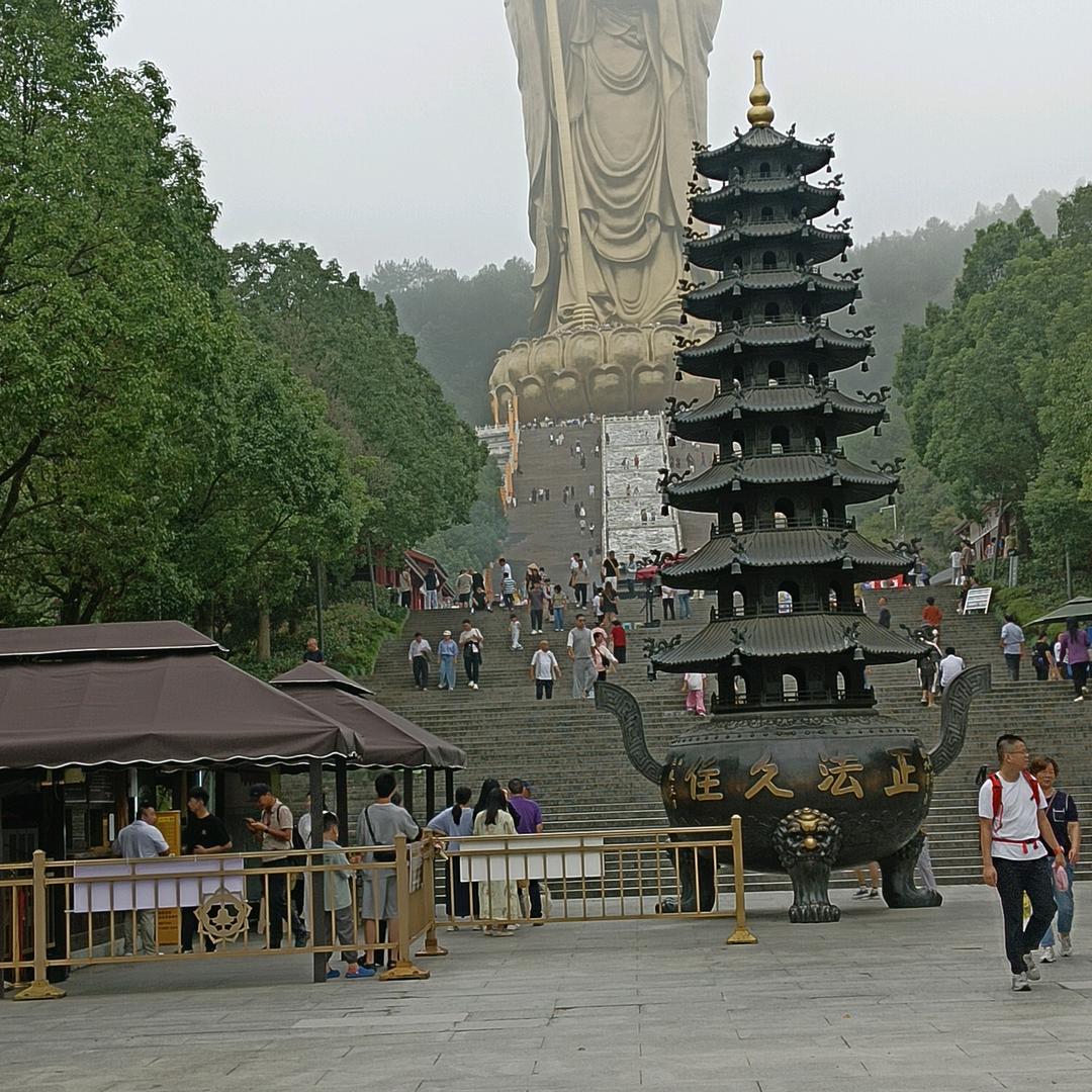 从此孤身走天涯