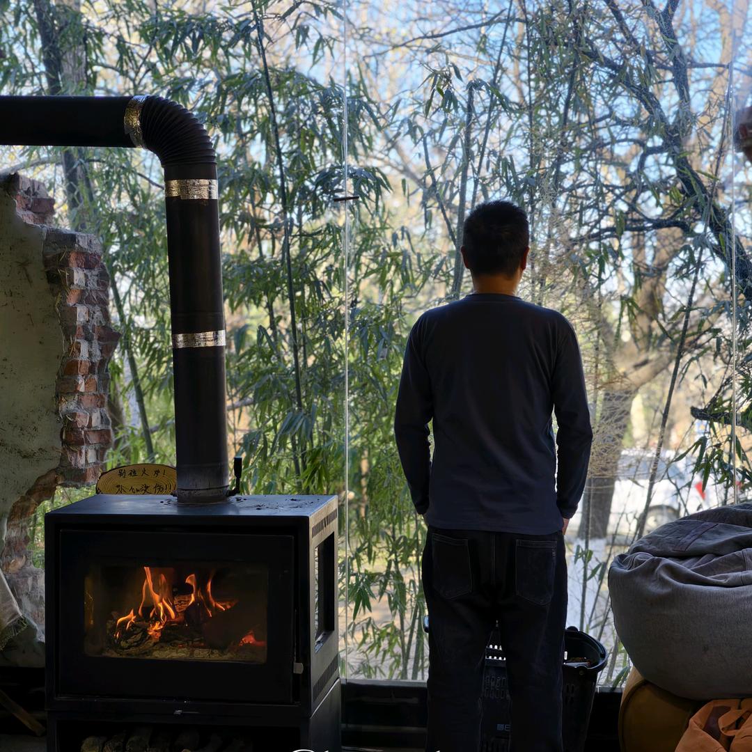 树上的土豆（记录美好生活）