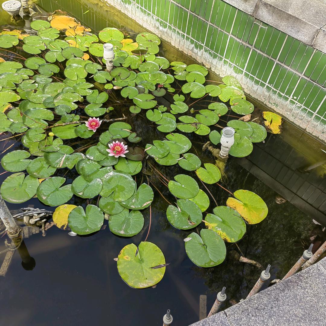 喜从天降