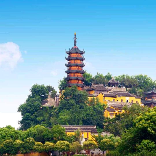 言信财税实操