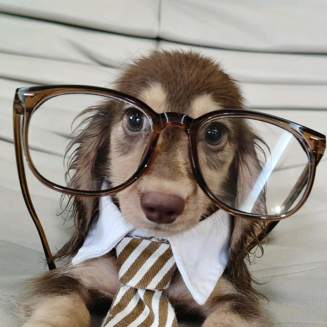 安艺达高端腊肠