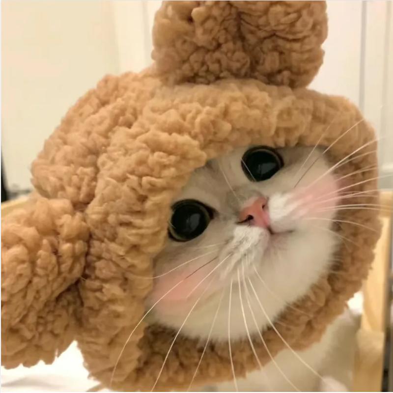 哈h