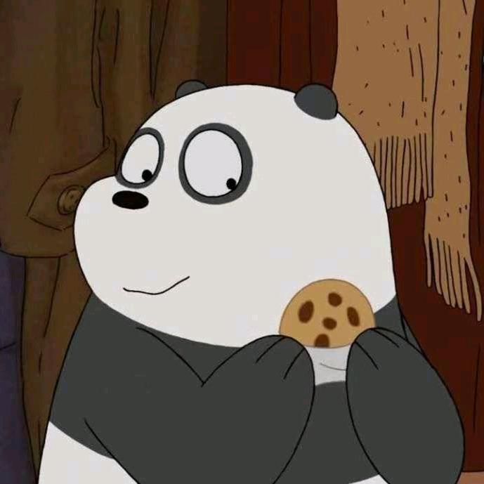 陇南公考小熊猫