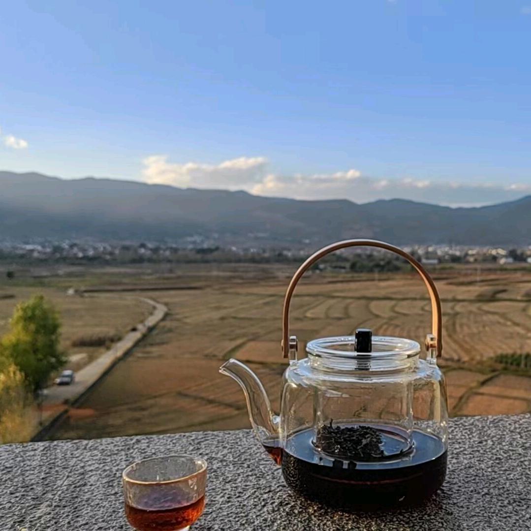 白茶清欢ᵏˣᵍ