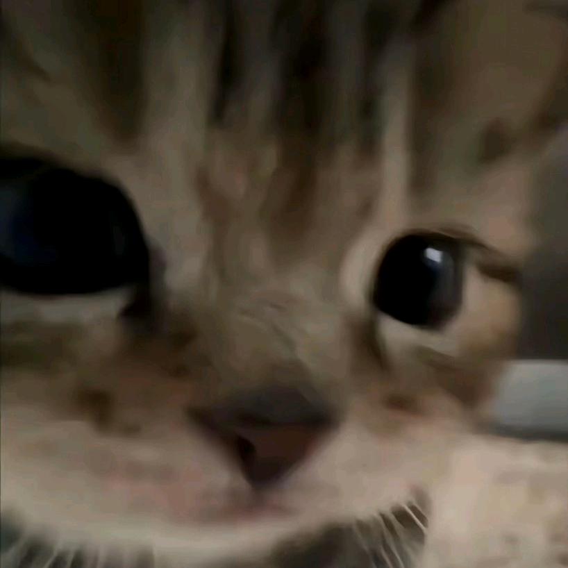 果味沐