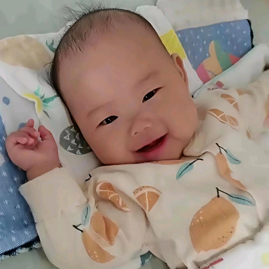小小林林呀
