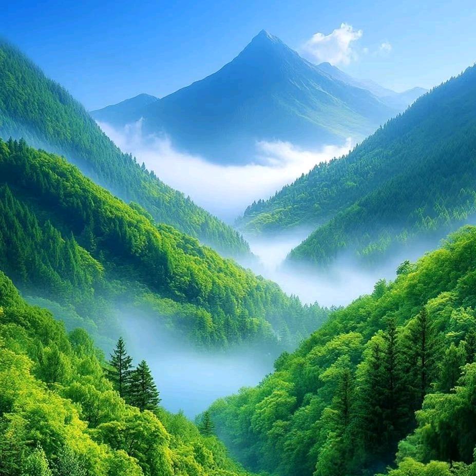 法更