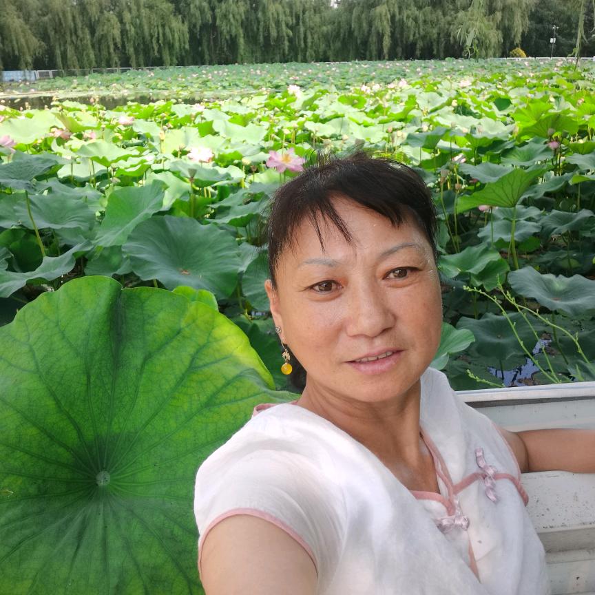 舞里看花