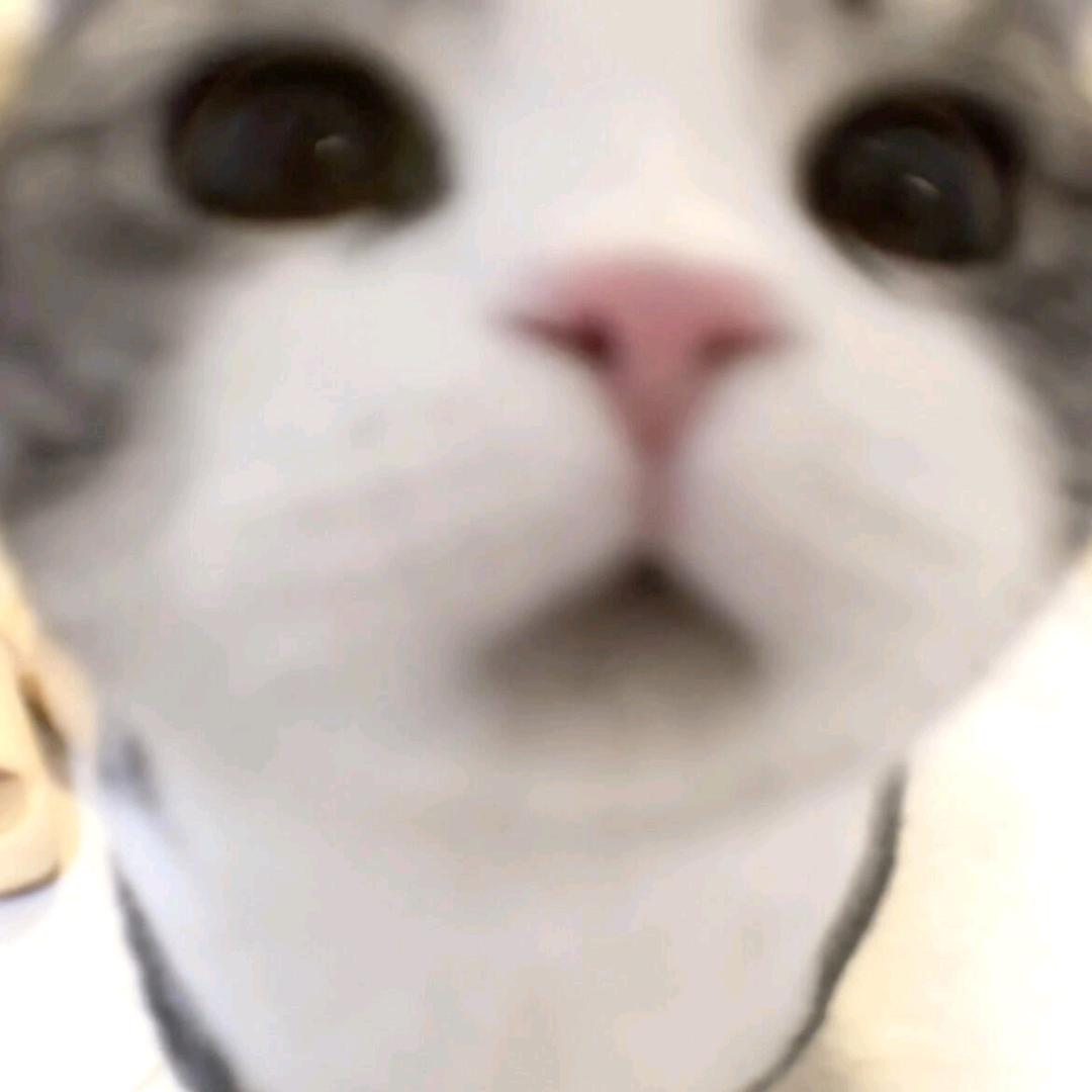 你再说一个试试呢