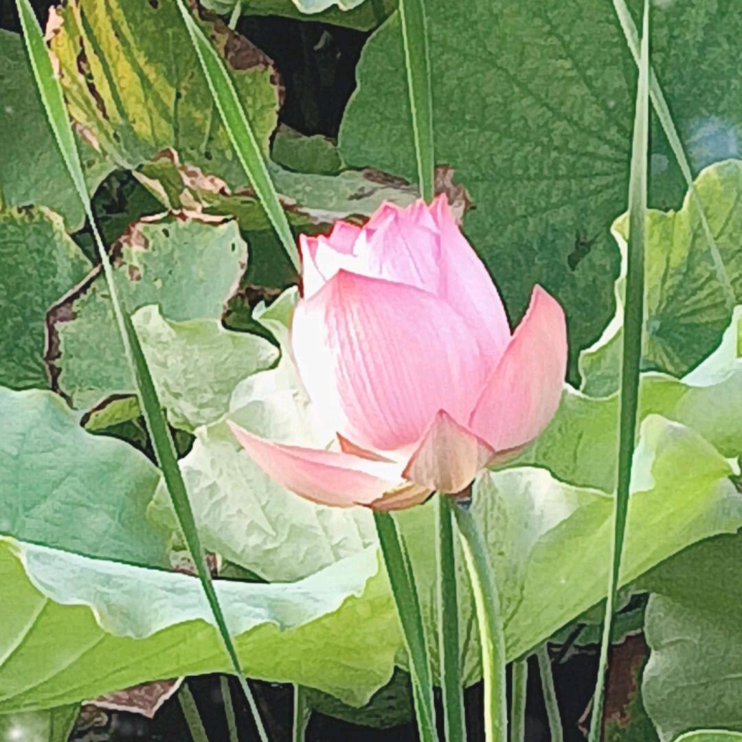 我有故事，你有酒吗？带上你的来听我的