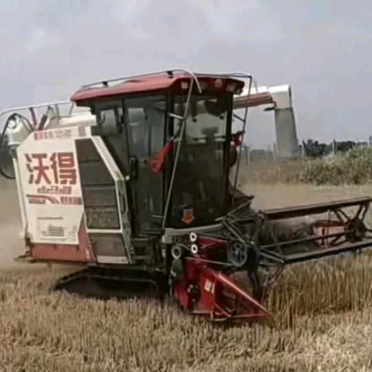 跨区收割机能收割油菜，大豆，小麦，水稻