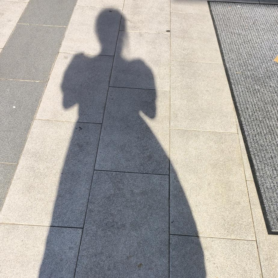 奋斗Y