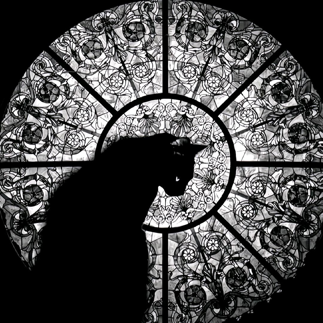 ㅤㅤㅤㅤㅤㅤㅤㅤㅤㅤㅤㅤㅤㅤㅤㅤㅤㅤ爱智