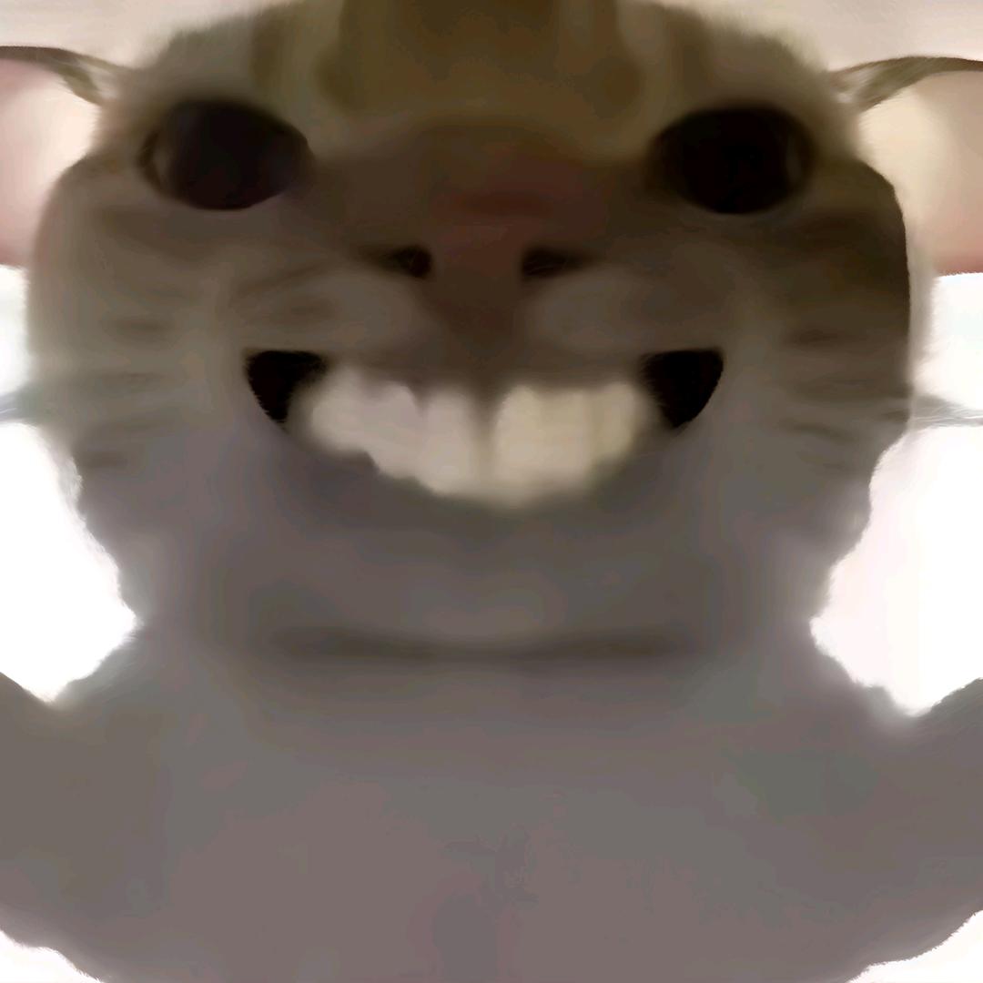DraksTreet