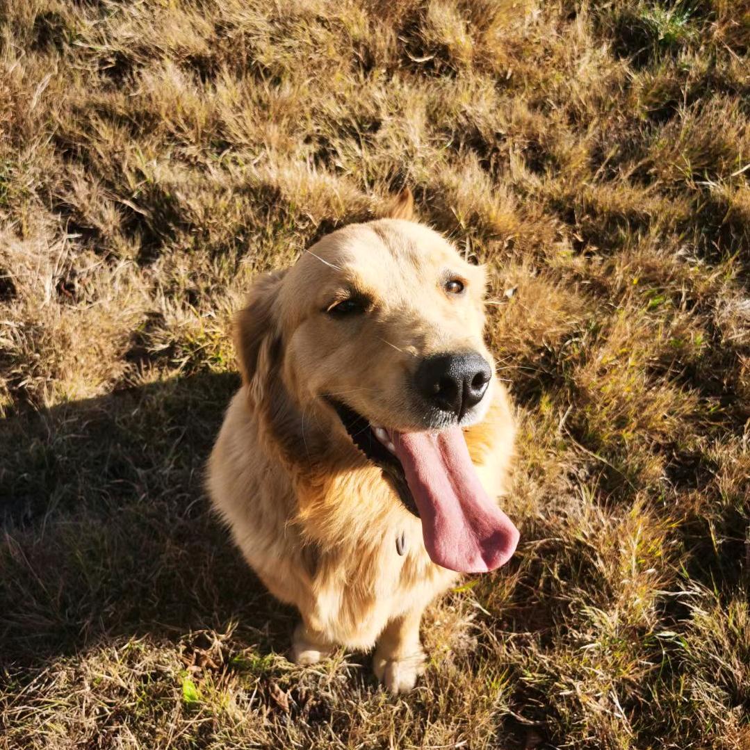 大眼睛耗子👀👀