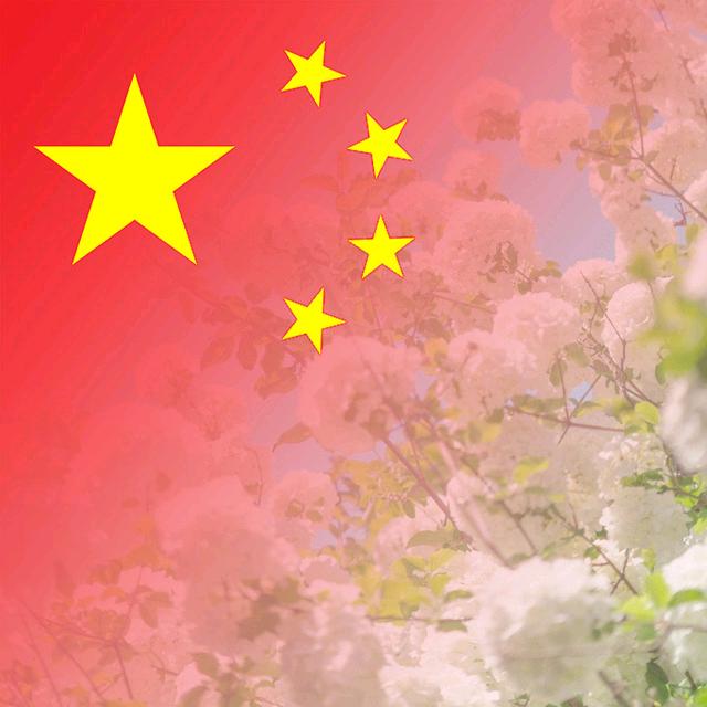 滕州Y七界河镇土豆经销商