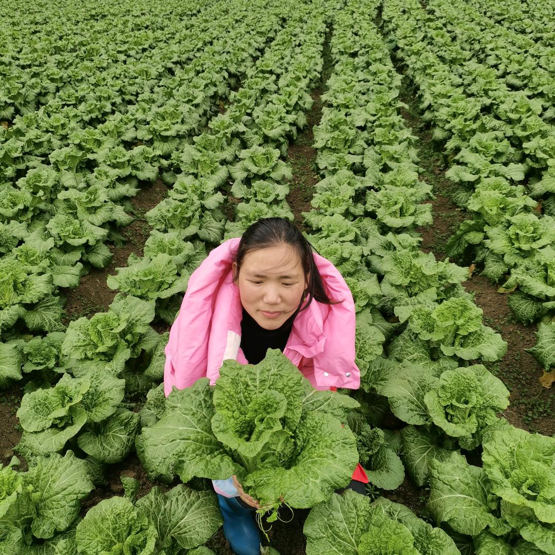 李小芳的铺子87