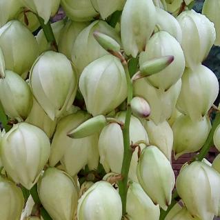 人生、不过如此