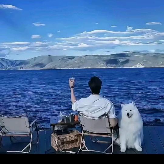 白茶清欢℡