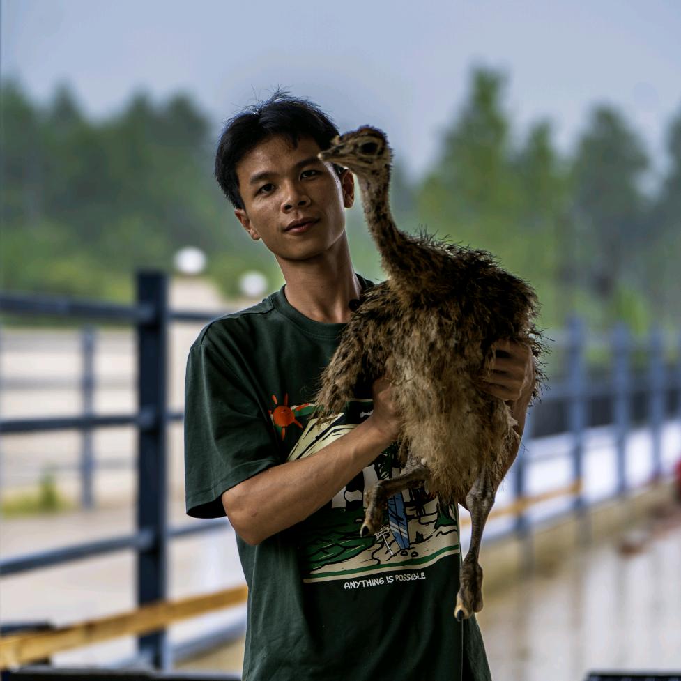 新农人小夕阳