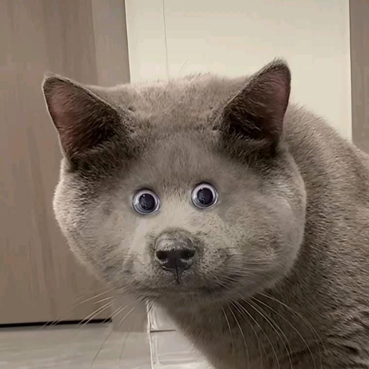 阿孓