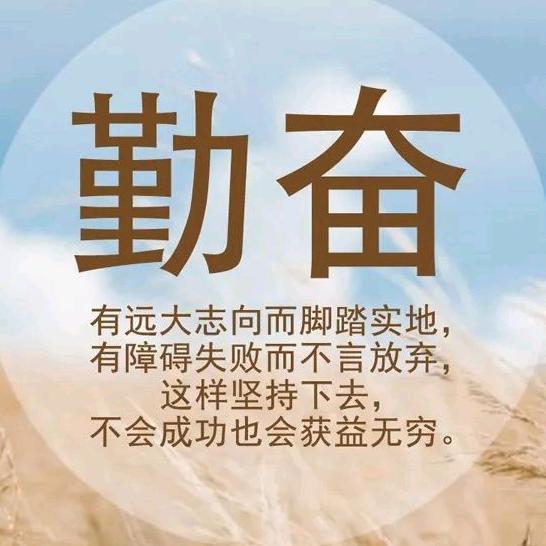 韩府—经典视频搬运工