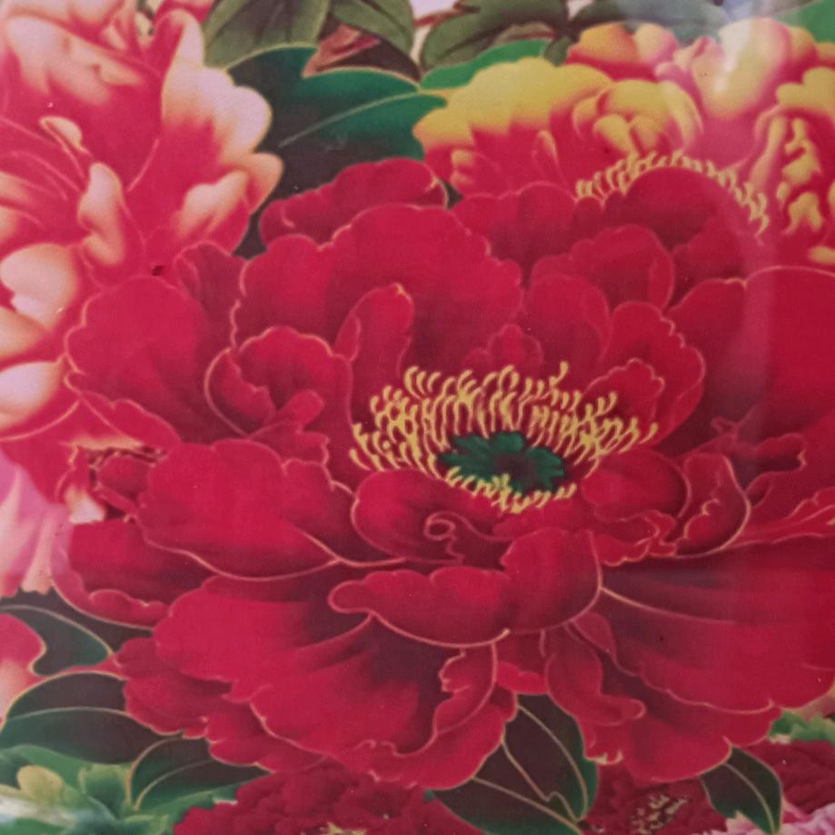 我的梦想