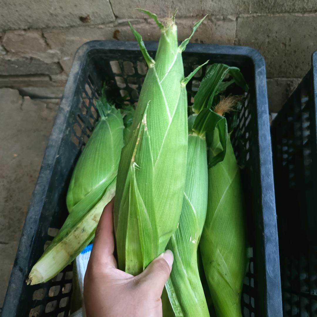 建始农品臻选阁