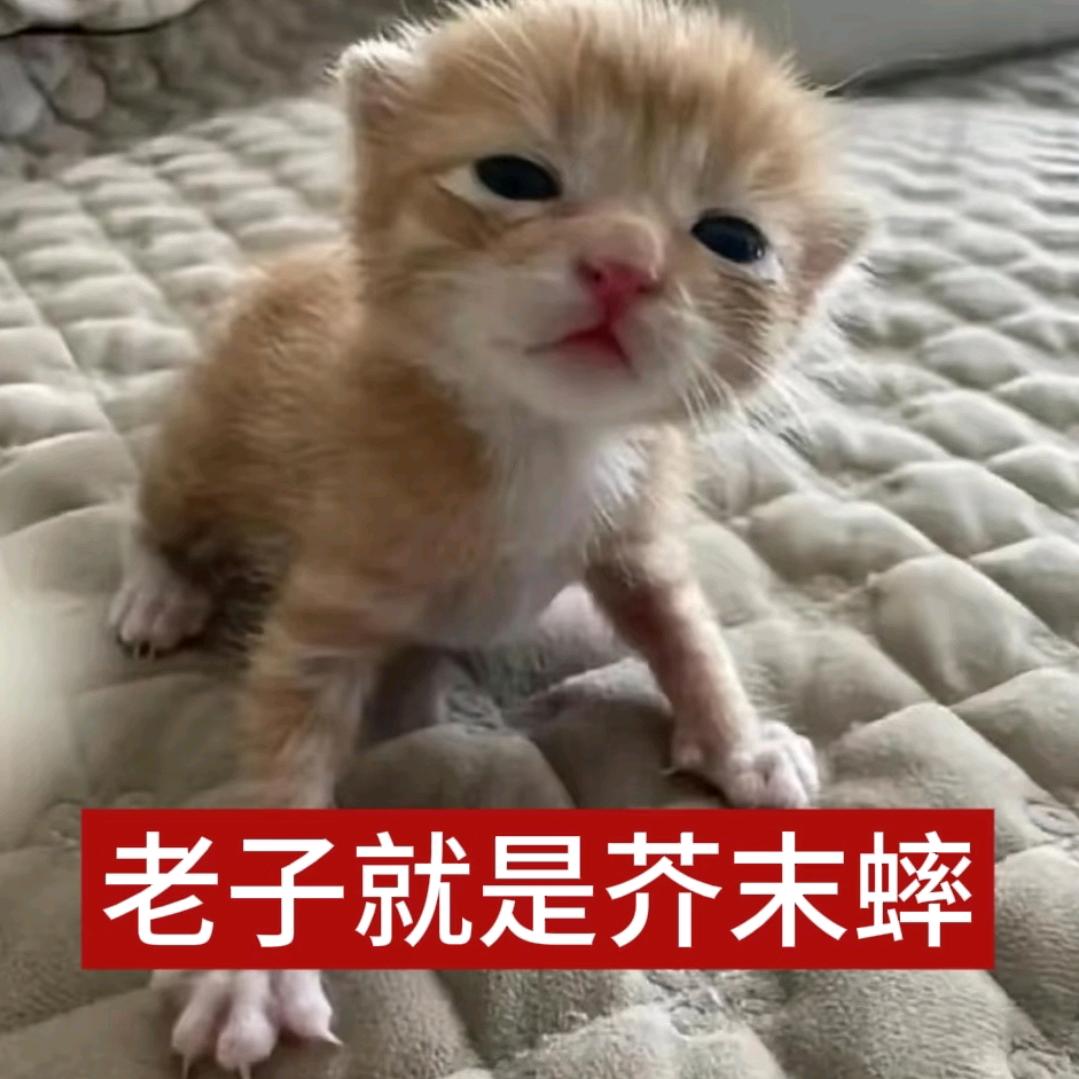 嗯对