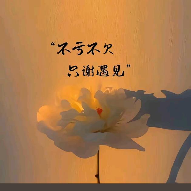 珍惜@