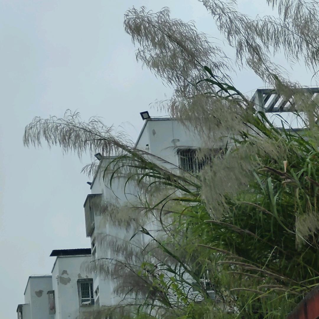 徐刚