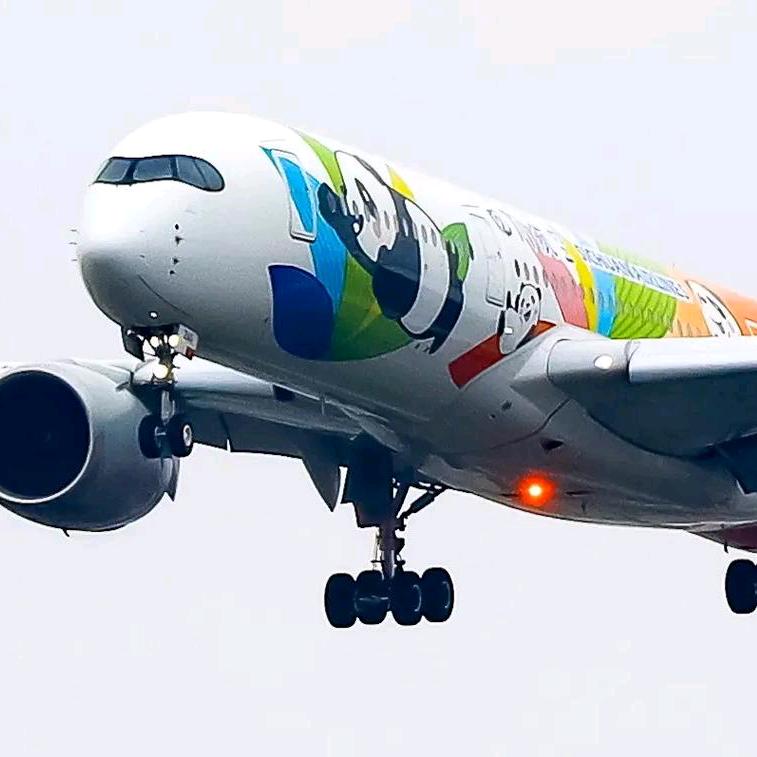 熊猫专属飞机中国国宝熊猫飞机空客A319