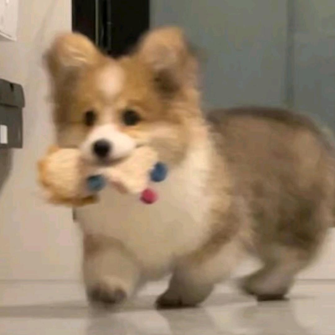 八分饱